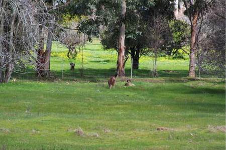 Chalets On Stoneville - Accommodation Brunswick Heads 0