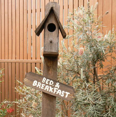 Ashby Cottage - Accommodation Brunswick Heads 0