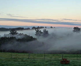 Pump Hill Farm Cottages - Accommodation Brunswick Heads 1