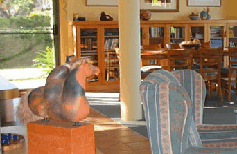 Tree Elle Retreat - Accommodation Brunswick Heads 2