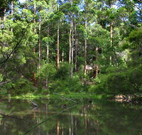 Peppermint Grove Retreat - Accommodation Brunswick Heads