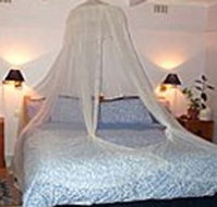 Bondi Beach Garden Sweet - Accommodation Brunswick Heads