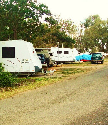 Buronga Riverside Tourist Park - Accommodation Brunswick Heads 5