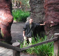 Walpole Lodge - Accommodation Brunswick Heads