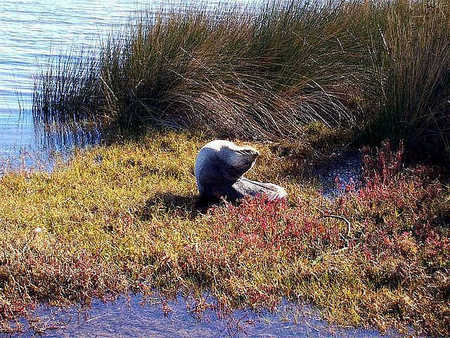 Australind Tourist Park - Accommodation Brunswick Heads 2