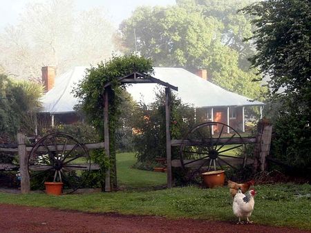 Clover Cottage Country Retreat - Accommodation Brunswick Heads 4
