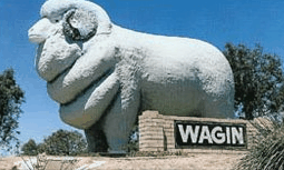 Wagin Motel - Accommodation Brunswick Heads 0