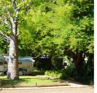 Town Caravan Park - Accommodation Brunswick Heads