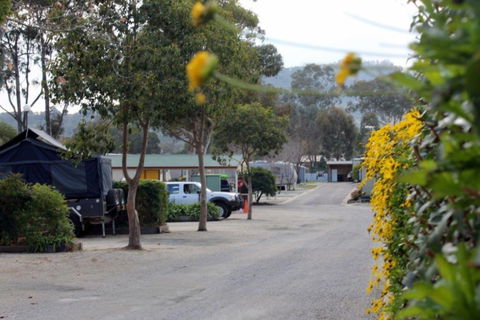 Albury All Seasons Tourist Park - Accommodation Brunswick Heads 0
