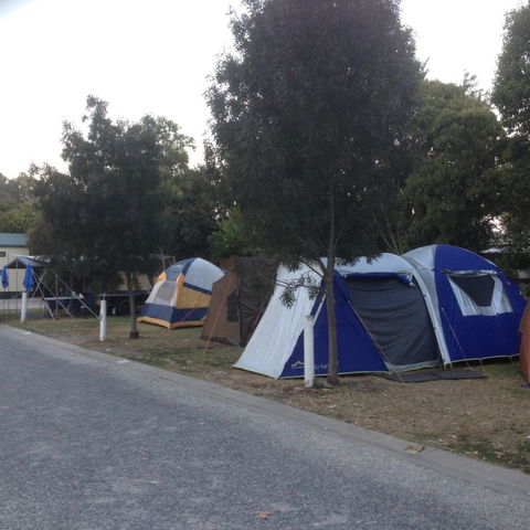Albury All Seasons Tourist Park - Accommodation Brunswick Heads 9