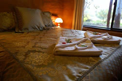 Treenbrook Cottages - Accommodation Brunswick Heads 0