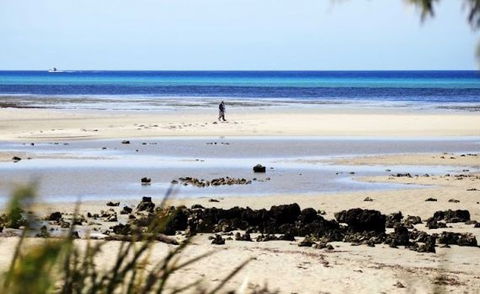 Halcyon Bay - Accommodation Brunswick Heads 5