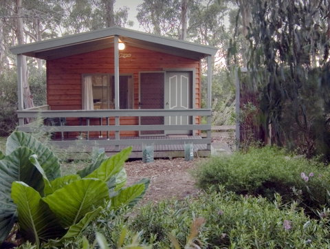 A Maze'N Things Holiday Park And Motel - Accommodation Brunswick Heads 2