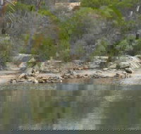 Boondi Rock Camp at Goldfields Woodlands National Park - Accommodation Brunswick Heads