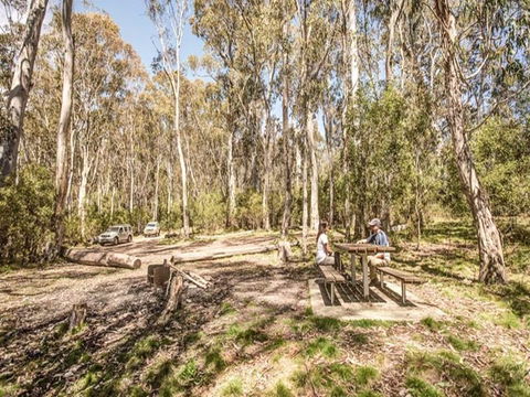 Coree Campground - Accommodation Brunswick Heads 0