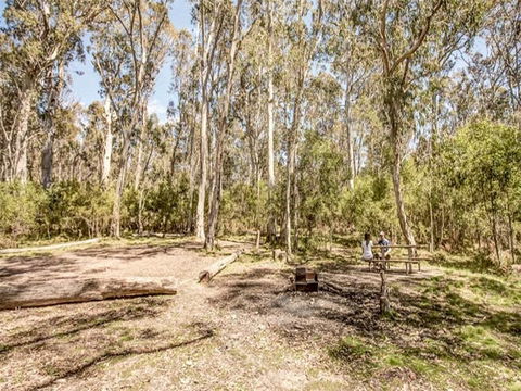 Coree Campground - Accommodation Brunswick Heads 1