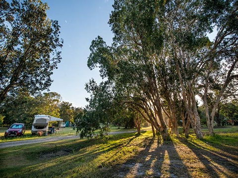 Delicate Campground - Accommodation Brunswick Heads 0