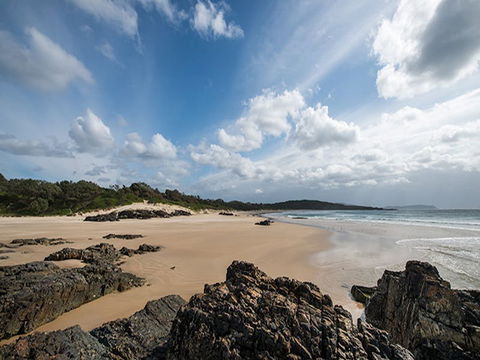 Delicate Campground - Accommodation Brunswick Heads 1