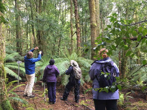 Forest Walks Lodge - Eco-Accommodation - Accommodation Brunswick Heads 1