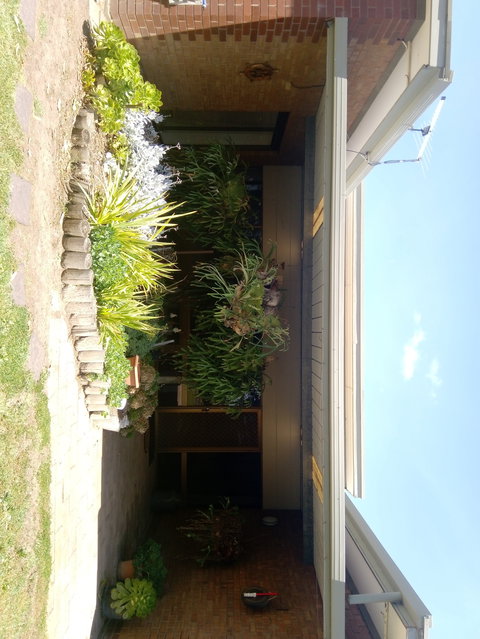 Hilltop Escape B&B - Accommodation Brunswick Heads 0