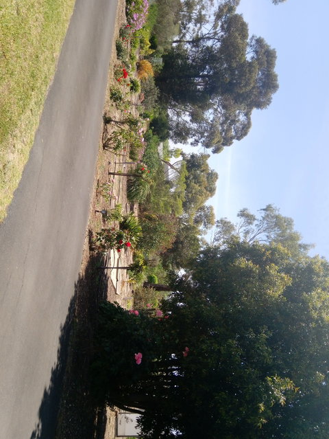 Hilltop Escape B&B - Accommodation Brunswick Heads 1