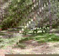 Mulloon Creek campground - Accommodation Brunswick Heads
