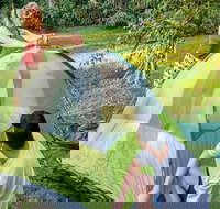 Native Dog campground - Accommodation Brunswick Heads