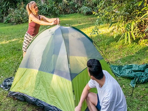 Native Dog Campground - Accommodation Brunswick Heads 0