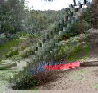 Platypus Flat campground - Accommodation Brunswick Heads