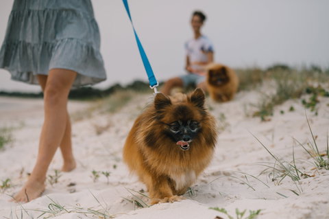 Reflections Holiday Parks Mylestom - Accommodation Brunswick Heads 1