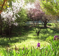 Sofala Cottage - Accommodation Brunswick Heads