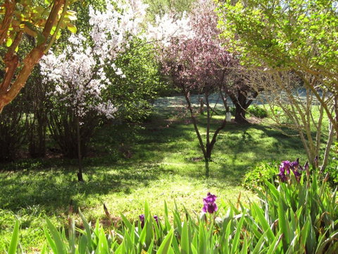 Sofala Cottage - Accommodation Brunswick Heads 0