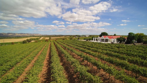 1837 Barossa Luxury Vineyard Cottages - Accommodation Brunswick Heads 0