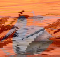 4 Pelican Court - River Shack Rentals - Accommodation Brunswick Heads