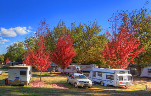 Beechworth Lake Sambell Caravan Park - Accommodation Brunswick Heads 0