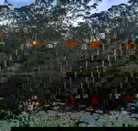 Billabong Retreat - Accommodation Brunswick Heads