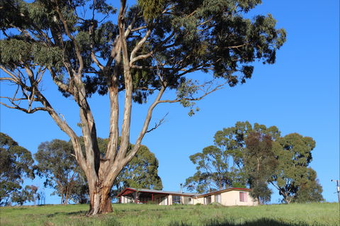 Clare View Accommodation - Clare View Cottage - Accommodation Brunswick Heads 2