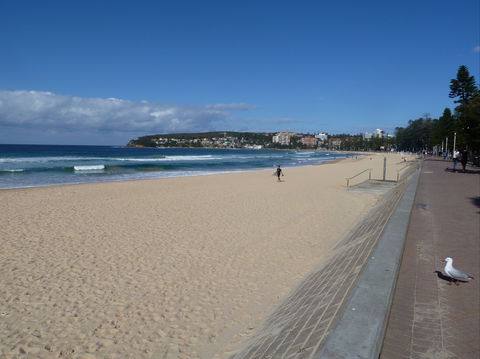 Manly Seaside Cottage - Accommodation Brunswick Heads 0