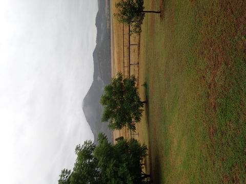 The Old Dairy At Baerami - Accommodation Brunswick Heads 2