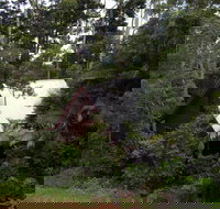 Turkeys Nest Rainforest Cottages Mt Glorious - Accommodation Brunswick Heads