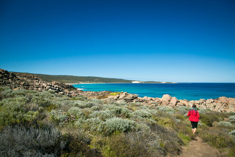 Wyadup Brook Cottages - Accommodation Brunswick Heads 0