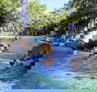 Big4 Aussie Outback Oasis Holiday Park - Accommodation Brunswick Heads