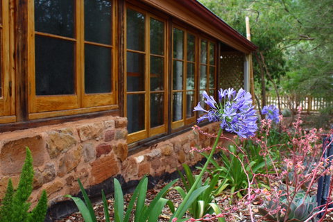 Bluey Blundstone's Accommodation - Accommodation Brunswick Heads 0