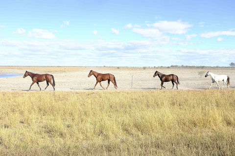 Charlotte Plains - Accommodation Brunswick Heads 2