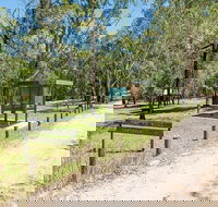 Mogo campground - Accommodation Brunswick Heads