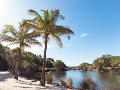 Novotel Sunshine Coast Resort - Accommodation Brunswick Heads 1