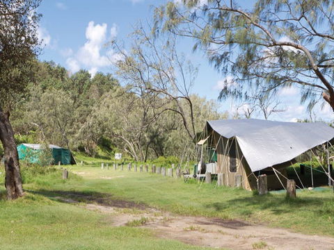 Pebbly Beach Campground - Yuraygir National Park - Accommodation Brunswick Heads 0