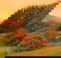 Red Rooster Host Farm - Accommodation Brunswick Heads