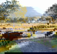 Tommerups Dairy Farmstay