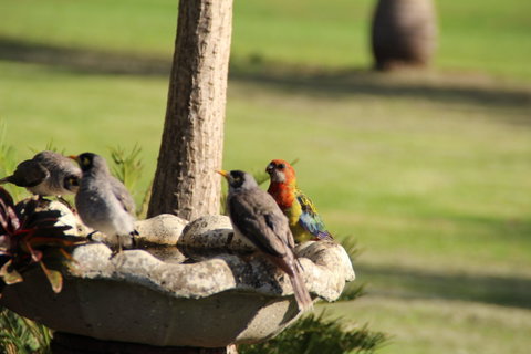 Twin Figs Country Retreat - Accommodation Brunswick Heads 2